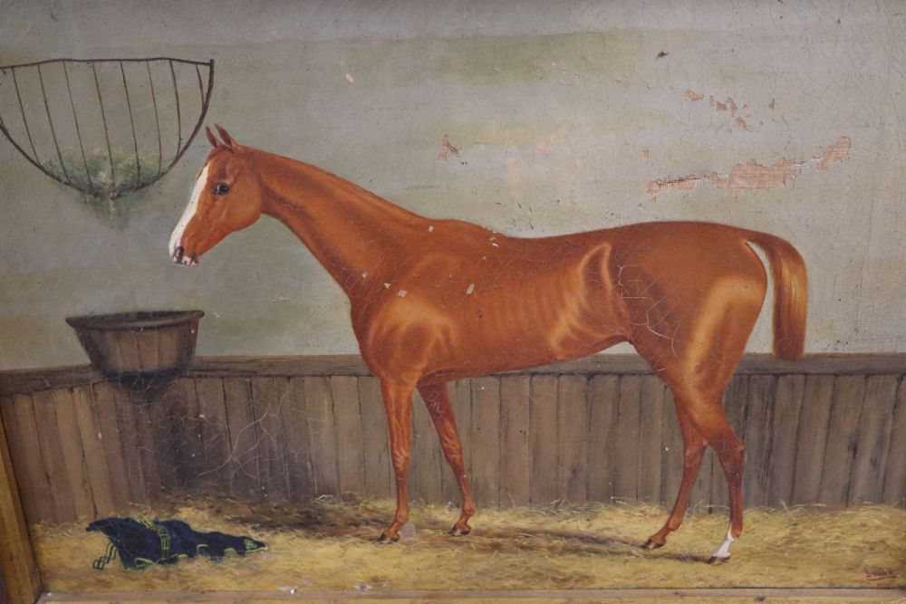 T. Blinks, oil on canvas, Racehorse in a stable, signed, 38 x 56cm, another apparently unsigned oil on canvas of a horse The Star Sou